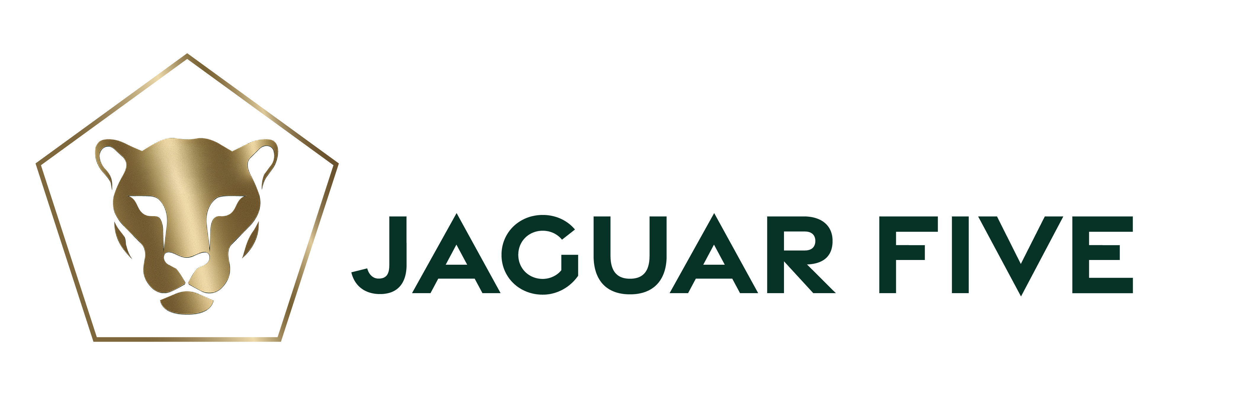 Jaguar Five