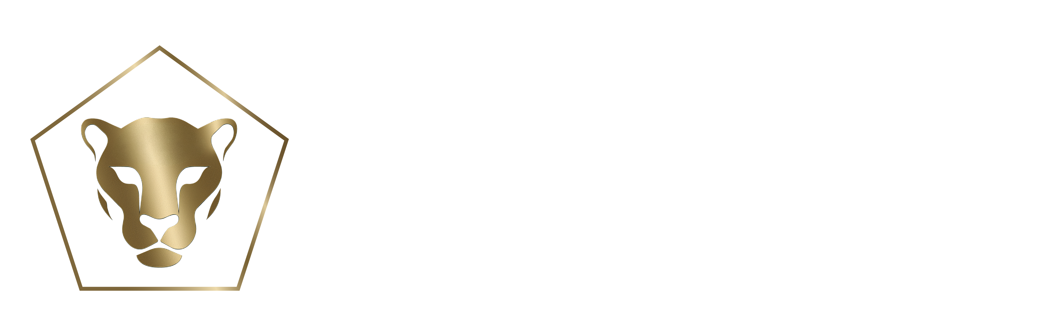 Jaguar Five